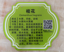 亞克力樹木花草標(biāo)牌